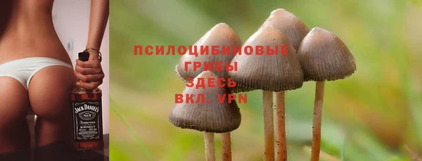 молекула духа Балабаново