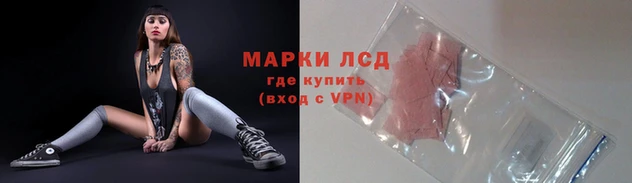 ALPHA PVP Баксан